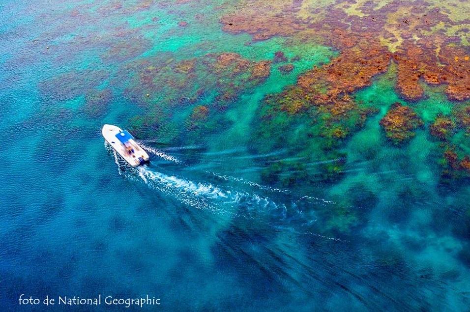 National Geographic