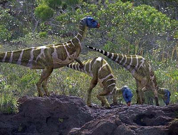 ornitopodo