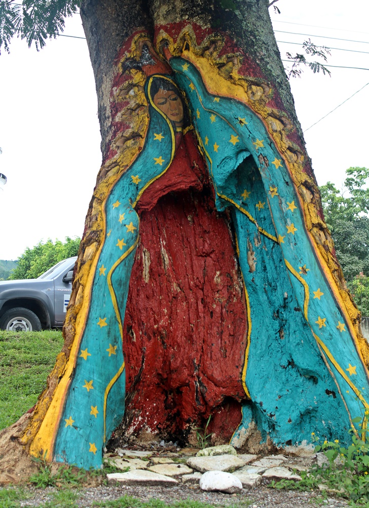 La Virgen de Guadalupe pintada en un árbol